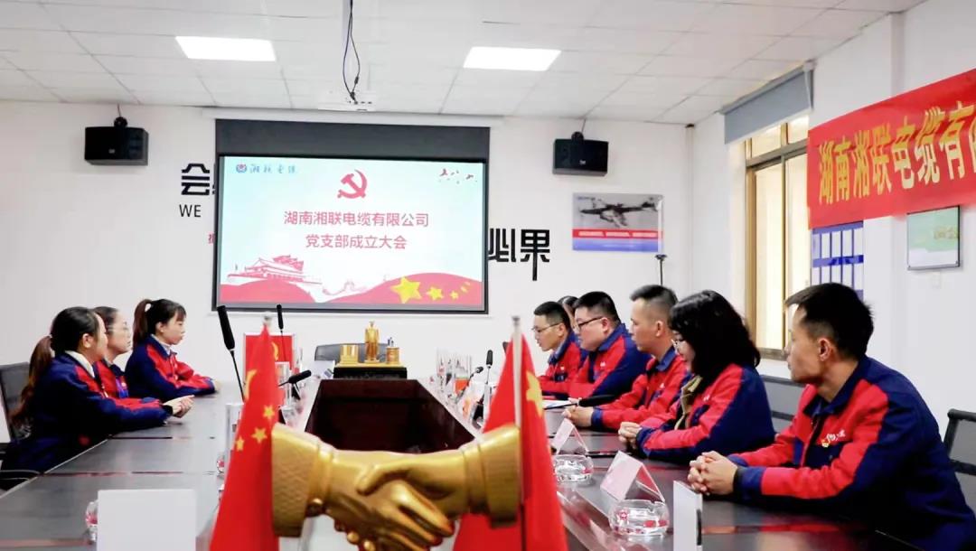 新征程 | 熱烈祝賀湖南湘聯電纜有限公司黨支部正式成立！